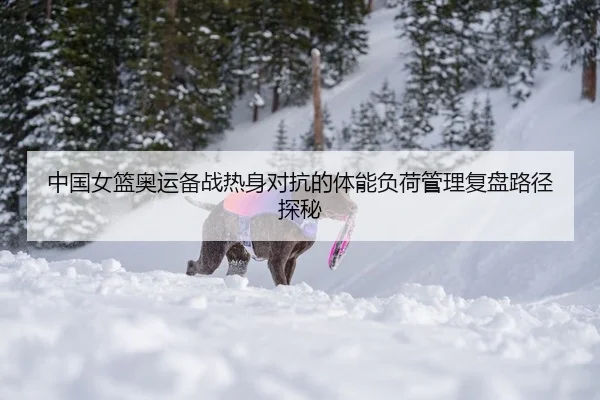 中国女篮奥运备战热身对抗的体能负荷管理复盘路径探秘